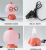 Factory Direct Sales Cute Chicken Button Switch Night Light Plug-in Cartoon Table Lamp Bedroom Desktop Table Lamp Small Night Lamp