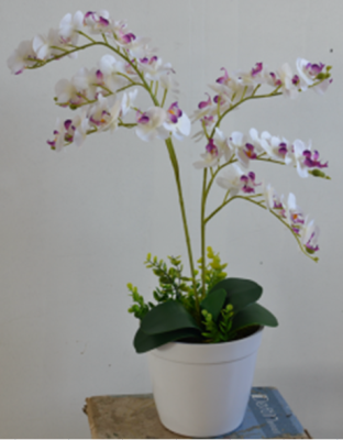 New Factory Wholesale Artificial Flower Artificial Flower Phalaenopsis Bonsai Decoration Photography Shooting Props