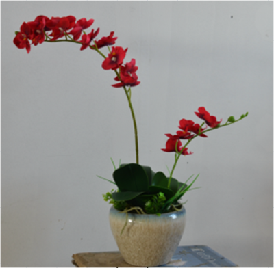 Artificial/Fake Flower Phalaenopsis Ceramic Glazed Basin Decoration Indoor and Outdoor Showcase Table Decorative Ornament