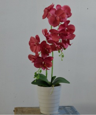 Double Red Fake Flower Phalaenopsis Bonsai Decoration Decoration Holiday Gift