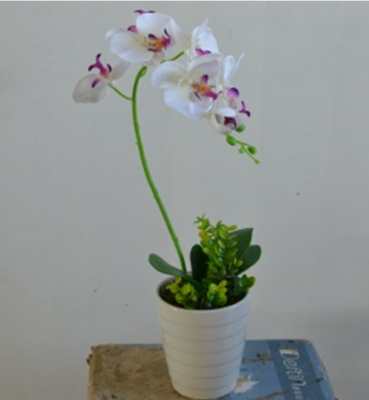 Artificial Single Phalaenopsis Bonsai Decoration 0268 New Artificial Flower Artificial Flower