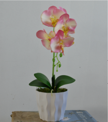 Qingcha Artificial Flower Artificial Flower Phalaenopsis Bonsai Decoration Window Table-Top Decoration Decoration