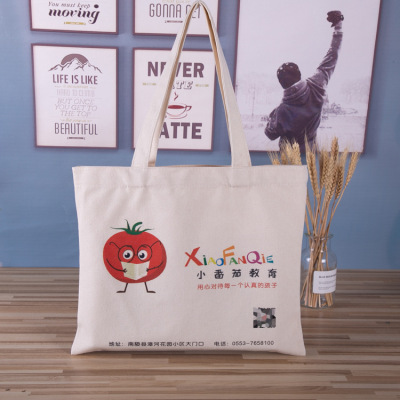 Manufacturers Supply Tyvek Portable Student Canvas Bag Design Large Capacity Cartoon Canvas Bag with Printed Logo