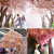 Artificial Cheery Branch Hotel Wedding Celebration Decoration Cherry Tree Peach Blossom Plastic Fake Flower Silk Flower Living Room Ceiling Balcony HANAFUJI