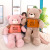 New Couple Bear Doll Plush Toys Cute Teddy Bear Rag Doll Pillow Bear Doll One Piece Dropshipping