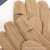 Women's 21 Winter Finger Gloves Non-Slip Full Finger Warm Five Finger Deerskin Velvet Windproof Electric Car Fashion Bowknot