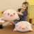 Factory Wholesale Soft Pig Doll Plush Toys Cute Pig Four-Sided Stretch Pillow Rag Doll One Piece Dropshipping