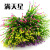 Simulation Plastic Bouquet Restaurant Ding Room Plastic Flower Arrangement Materials Grass Green Plant Pot Project Decorative Fake Flower Wholesale