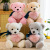 Cute Teddy Bear Doll Plush Toys Super Soft Short Hair Holding-Heart Bear Pillow Doll Ragdoll Bear Can Be Sent on Behalf
