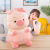 Cute Porket Pillow Plush Toy Lolita Pig Doll Ragdoll Doll Can Be One Piece Dropshipping