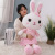 Soft Bunny Doll Plush Toys and Soft down Cotton Rabbit Long Pillow Children's Gift Factory Wholesale