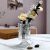 Factory Direct Supply Nordic Simple Light Luxury Transparent Glass Vase Decoration Living Room Flower Arrangement Dried Flower Hydroponic Plant Container