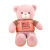 New Couple Bear Doll Plush Toys Cute Teddy Bear Rag Doll Pillow Bear Doll One Piece Dropshipping