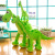 Spot Supply Realistic Dinosaur Plush Toy Tyrannosaurus Rex Doll Ragdoll Doll Factory Direct Sales One Piece Dropshipping