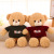 Factory Direct Sales Teddy Bear Doll Plush Toys Couple Bear Rag Doll Pillow Girls Gift One Piece Dropshipping