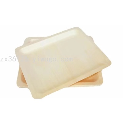 Disposable Square Plate and Disc