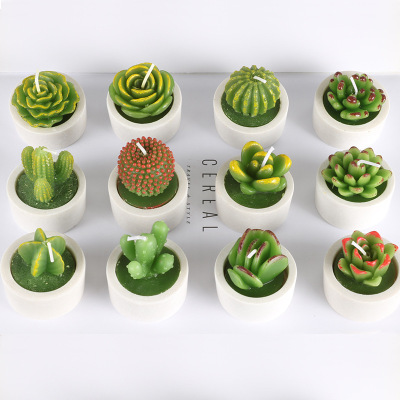 New Artistic Taper and Candle 12-Piece Set Mud Cylinder Base Succulent Plant Candle Simulation Candle