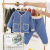 Children's Clothing Children's Cotton Clothes Suit 2021 Winter New Thickened Boys' down Cotton Clothing Baby Winter Clothes Two-Piece Suit