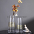 European Entry Lux Gold T-Shaped Transparent Glass Vase Hydroponic Lily Rose Nordic Living Room Vase Ornaments