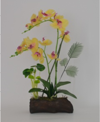 Real Plant Phalaenopsis Potted Creative Home Desktop Decoration Photography Decoration Fake Flower Bonsai Factory Wholesale