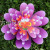 Double-Layer Lotus Big Windmill Children's Gift Activity Scan Code Scenic Spot Park Stall Wholesale Fiberglass Rod Outdoor Plug-in
