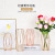 Nordic Ins Iron Vase Simple Transparent Glass Hydroponics Flower Rose Gold Diamond Soft Decoration Ornaments
