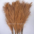 Artificial Pampas Grass  Wedding Party Home Decoration Reed for Wedding Party Home Garden DIY Plant Decoration
