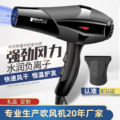 Household Constant Temperature Hair Dryer Cross-Border Student Dormitory Hair Dryer Small Power Hair Care Hair Dryer Gift Factory Exclusive Supply