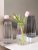 Nordic Instagram Style Minimalist Creative Gradient Dream Color Transparent Glass Vase Water-Keeping Flower Arrangement Decoration Dining Table Living Room