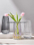 Nordic Instagram Style Minimalist Creative Gradient Dream Color Transparent Glass Vase Water-Keeping Flower Arrangement Decoration Dining Table Living Room