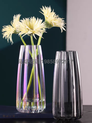 Nordic Instagram Style Minimalist Creative Gradient Dream Color Transparent Glass Vase Water-Keeping Flower Arrangement Decoration Dining Table Living Room