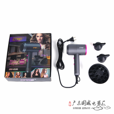 Factory Direct Sales Hair Dryer High-Power Moisturizing Anion Hair Care Heating and Cooling Air Household Hair Dryer Hair Dryer Fashion