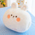 Novelty Toy Ins Hand Warming in Winter Pillow Plush Toy Imitation Rabbit Fur Girl Heart Warm Nap Stall Blind Box