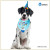 Dog Birthday Decoration Two-Piece Suit Birthday Hat Saliva Triangular Binder Amazon Cross-Border Foreign Trade Packaging