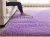 Super Soft Silk Wool Living Room Sofa and Carpet Floor Mat Bedroom Room Bedside Carpet Tatami Mat