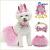 Pink Pet Female Canine Birthday Suit Tutu Skirt Birthday Hat Sequined Bow Tie Three-Piece Cross-Border