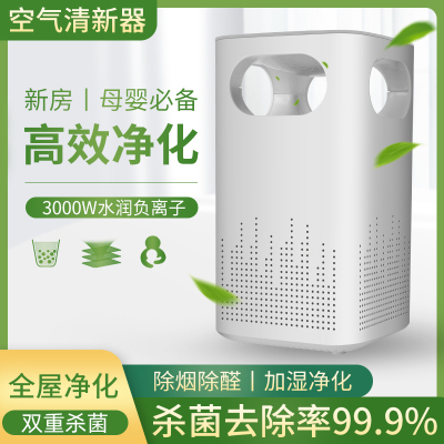 Cross-Border Anion Air Purifier Household Odor Removal Formaldehyde Smoke Desktop and Car-Mounted Disinfection Purifier