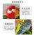 West Knight Simulation Voice-Controlled Bird Electric Induction Parrot Bird Will Call Voice-Controlled Bird Cage Children's Toy Decoration