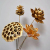 Preserved Flower Material Pine Cone Natural Dried Cassia Fruit  Branch Seedpod Lotus Home Wedding Party Decoration Acces