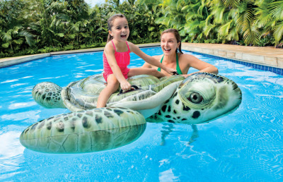 Intex57555 Realistic Giant Sea Turtle Mount Water Animal Mount