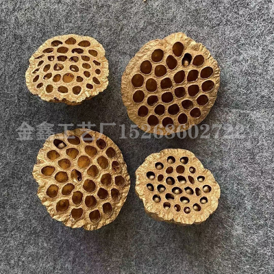 Decorative Natural Dried Lotus Seedpod Flowers Heads,Real Dry Fruit Small Lotus Seed Pod Flower,Home,Christmas Decoratio