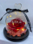 Rose with Lamp Glass Cover, Holiday Gift, Home Decoration