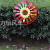 Double-Layer Color Stripes Laser Sunflower Windmill Fiberglass Rod Floor Garden Real Estate Decoration Kindergarten Children's Toys