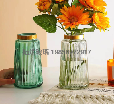 Nordic Style Transparent Glass Vase Decoration Living Room Flower Arrangement Dining Table Simple and Modern Furnishings Decorations