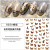 Leopard Print Butterfly Nail Sticker Paper Net Popular Nail Stickers