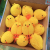 Wholesale Chicken Toy Sponge Leather Ringing Toy Chicken Duck Light Small Gifts for Children Stall Toy Department Store Wholesale