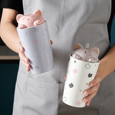 Cross-Border Cute Cat Straw Ceramic Water Cup Cartoon Good-looking Milk Breakfast Cup Female Ins Style Mug