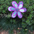 Double-Layer Peacock Sequins Colorful Plastic Windmill Children's Toys Hot Sale Outdoor Pastoral Park Decoration Insert
