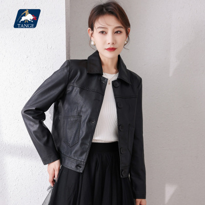 2021 Haining Spring and Autumn New Fashion Simple Short Leather Jacket Women's Korean-Style Slimming Motorcycle Trendy Women's PU Leather Jacket