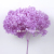 Simulation Wedding 5 Heads Hydrangea Emulational Flower and Silk Flower Arch Road Lead Flower Flower Wall Flower Arrange